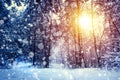 Beautiful winter landscape with forest, trees and sunrise. winterly morning of a new day. Christmas landscape with snow. Royalty Free Stock Photo