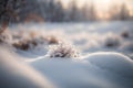 Beautiful winter landscape. Frosty morning in the snowy forest.