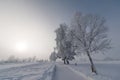 Beautiful winter landscape: Frosty trees in January, Austria. Postcard Royalty Free Stock Photo