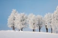 Beautiful winter landscape: Frosty trees in January, Austria. Postcard Royalty Free Stock Photo