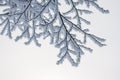 Beautiful winter landscape: Frosty trees in January, Austria. Postcard Royalty Free Stock Photo