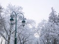 Winter landscape with frosty winter trees and street lights Royalty Free Stock Photo