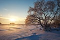 Beautiful winter landscape with frozen lake, big tree and sunset Royalty Free Stock Photo