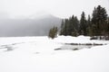 Beautiful winter landscape with a frozen lake and pinetrees. A forest and mountains in the background. Banff National Park, Albert Royalty Free Stock Photo