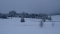Beautiful winter landscape with the houses, ground and trees covered with snow under the gloomy sky Royalty Free Stock Photo