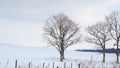 Beautiful Winter Landscape With Leafless Tree Royalty Free Stock Photo