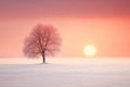 Beautiful winter landscape with lonely tree on snowy field at sunset Royalty Free Stock Photo