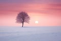 Beautiful winter landscape with lonely tree in snowy field at sunset Royalty Free Stock Photo