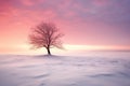 Beautiful winter landscape with lonely tree in snowy field at sunset Royalty Free Stock Photo