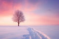 Beautiful winter landscape with lonely tree on snowy field at sunset Royalty Free Stock Photo