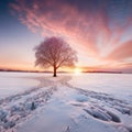 Beautiful winter landscape with lonely tree on snowy field at sunset Royalty Free Stock Photo