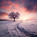 Beautiful winter landscape with lonely tree on snowy field at sunset Royalty Free Stock Photo