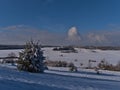 Beautiful winter landscape in Swabian Alb near Burladingen, Germany with snow-covered meadows and coniferous tree throwing shadow.