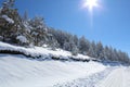 Beautiful winter landscape on Mount Tara in Serbia. Big snow on a favorite mountain tourist destination. Sunny day. Royalty Free Stock Photo