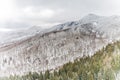 Beautiful Winter landscape Royalty Free Stock Photo