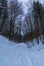 Beautiful winter landscape of mountain trail full of fresh and white snow with trees around Royalty Free Stock Photo