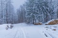 Beautiful winter landscape of mountain trail full of fresh and white snow with trees around Royalty Free Stock Photo