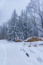 Beautiful winter landscape of mountain trail full of fresh and white snow with trees around Royalty Free Stock Photo