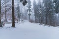 Beautiful winter landscape of mountain trail full of fresh and white snow with trees around Royalty Free Stock Photo