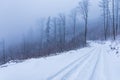 Beautiful winter landscape of mountain trail full of fresh and white snow with high trees around Royalty Free Stock Photo