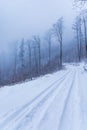 Beautiful winter landscape of mountain trail full of fresh and white snow with high trees around Royalty Free Stock Photo