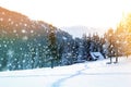 Beautiful winter landscape in the mountains with falling snow an Royalty Free Stock Photo