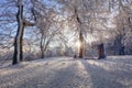 Beautiful winter landscape in the mountains. Sunrise