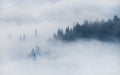 Beautiful winter landscape in the mountains. Sunrise. Carpatian valley with fog and snow. Carpathian winter mountains. Early morni