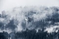 Beautiful winter landscape in the mountains. Sunrise. Carpatian valley with fog and snow. Carpathian winter mountains. Early morni