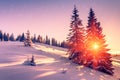 Beautiful winter landscape in mountains. View of snow-covered conifer trees and snowflakes at sunrise. Merry Christmas and happy Royalty Free Stock Photo