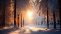 beautiful winter landscape, old trees with snow covered branches, a forest in a morning haze, beautiful nature Royalty Free Stock Photo