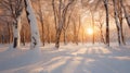 beautiful winter landscape, old trees with snow covered branches, a forest in a morning haze, beautiful nature Royalty Free Stock Photo