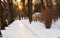 Beautiful winter landscape of park footpath on sunset background and leafless trees. Time for walking with family, dogs, dating Royalty Free Stock Photo