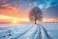 Beautiful Winter landscape at a rural field at sunset - stock concepts Royalty Free Stock Photo