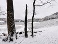 Beautiful winter landscape with the rural road covered with snow in Larvik, Norway Royalty Free Stock Photo