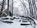 Beautiful winter landscape with the rural road covered with snow in Larvik, Norway Royalty Free Stock Photo