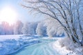 Beautiful winter landscape scene with snow covered trees. Royalty Free Stock Photo