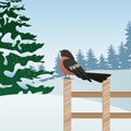 Beautiful winter landscape scene with tree and robin in fence Royalty Free Stock Photo