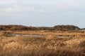 A beautiful winter landscape shot at a nature reserve