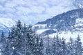 Beautiful winter landscape, snow-covered fluffy fir trees, snowfall in the mountains, panorama of mountain peaks, the Swiss Alps Royalty Free Stock Photo