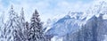 Beautiful winter landscape, snow-covered fluffy fir trees, snowfall in the mountains, panorama of mountain peaks, the Swiss Alps