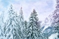 Beautiful winter landscape, snow-covered fluffy fir trees, snowfall in the mountains, panorama of mountain peaks, the Swiss Alps