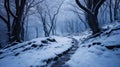 beautiful winter landscape, snow covered path in a forest, morning haze, beautiful nature Royalty Free Stock Photo