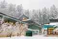 Odaesan mountain Woljeongsa temple at snowy winter in Pyeongchang, Korea Royalty Free Stock Photo