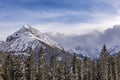 Beautiful winter landscape with snow covered trees