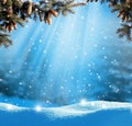 Beautiful winter landscape with snow covered trees.Christmas background Royalty Free Stock Photo