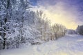 Beautiful winter landscape, snow-covered trees covered with hoarfrost against the background of sunlight and blue sky Royalty Free Stock Photo