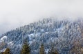 Beautiful winter landscape with snow covered trees. Fantastic winter landscape with spruce forest. Dramatic overcast sky