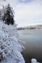 Beautiful winter landscape with snow-covered trees and flowing river. Snow forest and Winter background. Fabulous winter Royalty Free Stock Photo