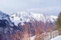 Beautiful winter landscape, snow-covered trees, mountainpass, snowfall in the mountains, Swiss Alps in the snow, walks in the Royalty Free Stock Photo